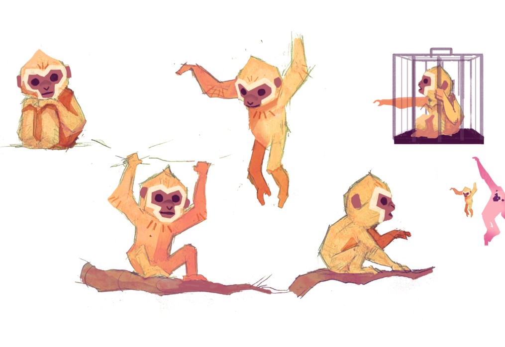 Baby Gibbon Character Development