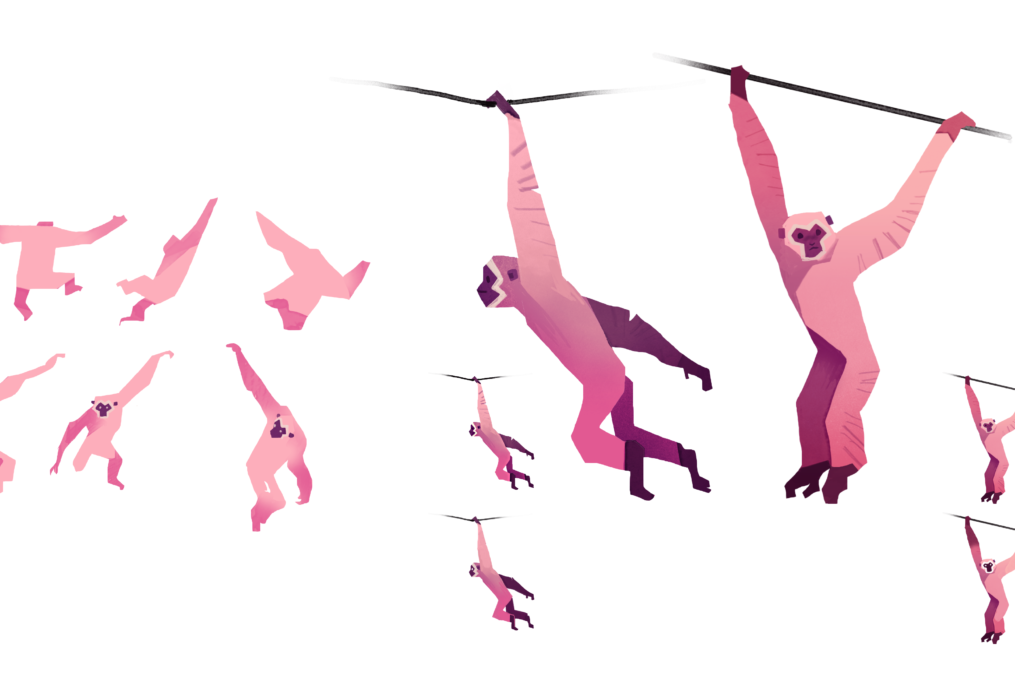 Pink Gibbon Character Development