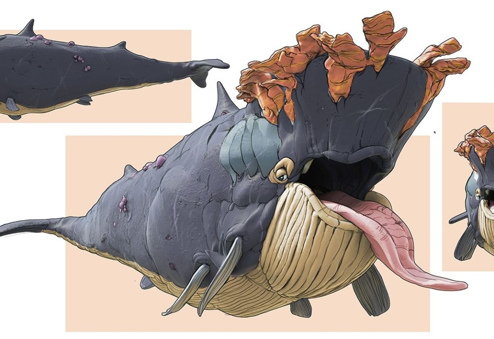 Whale Carcass