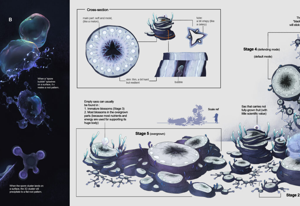Gravity Fungus Diagrams